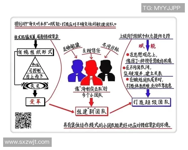 从零起步打造篮球团队协作的全方位指南与实战技巧分享